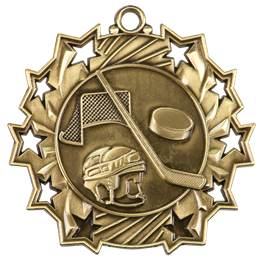 ten-star-series-hockey