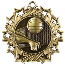 ten-star-series-volleyball