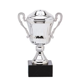 AMC0 Series Cup