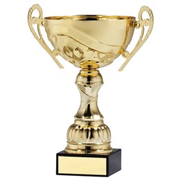 amc-55-series-cup