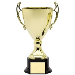 amc-7-series-cup
