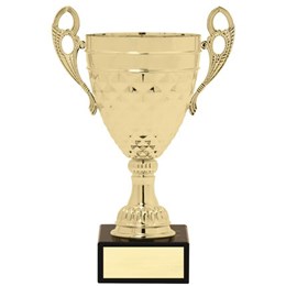 aw528-series-gold-cup
