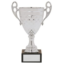 aw529-series-silver-cup
