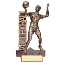 billboard-resin-series-volleyball
