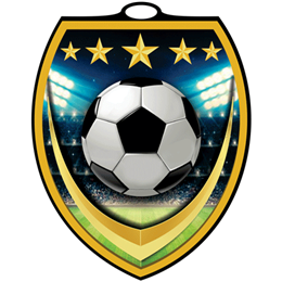vsm_soccer