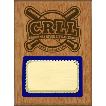 PLQ4 Plaque Series - Baseball/Softball