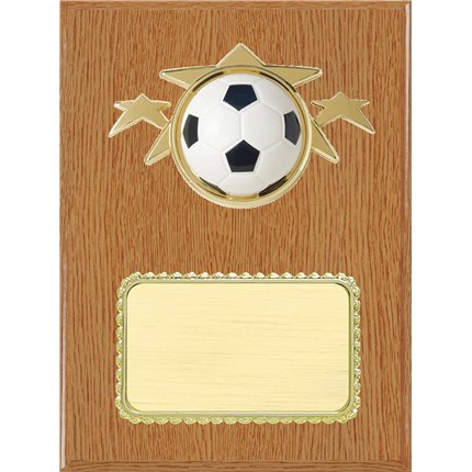 Resin Plaque Series - Soccer