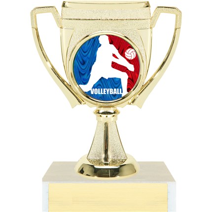 Victory Cup Insert Trophy Series - Volleyball