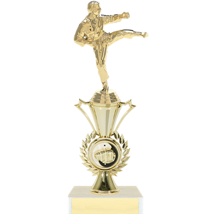 Radiance Riser Trophy Series - Karate