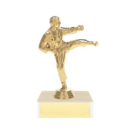 Figure on Base Trophy Series - Karate