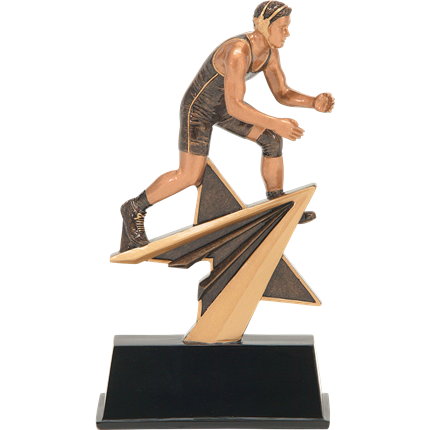 STAR POWER SERIES - WRESTLING