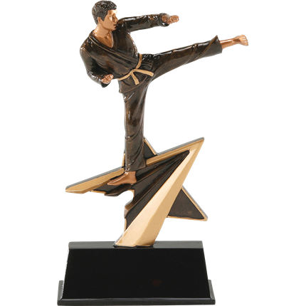 STAR POWER SERIES - KARATE