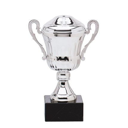 AMC0 SERIES CUP