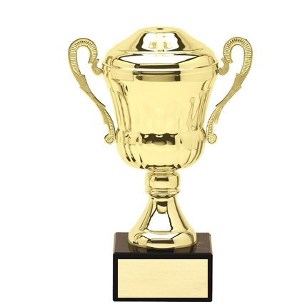 AMC1 SERIES CUP