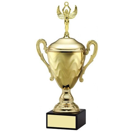 AMC9 SERIES CUP