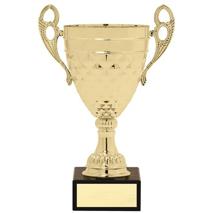 AW528 SERIES CUP