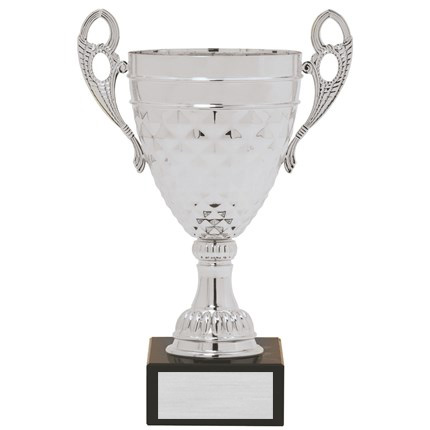 AW529 SERIES CUP