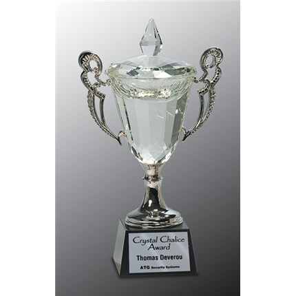 PREMIER CUP CRYSTAL
