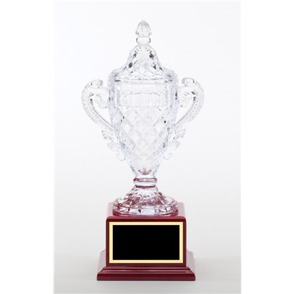 Cry Series - Crystal Vase