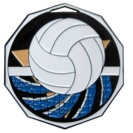Decagon Colored Series - Volleyball