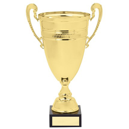 DTC44 SERIES CUP