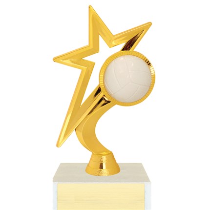 Gold Star Figure Trophy Series - Volleyball