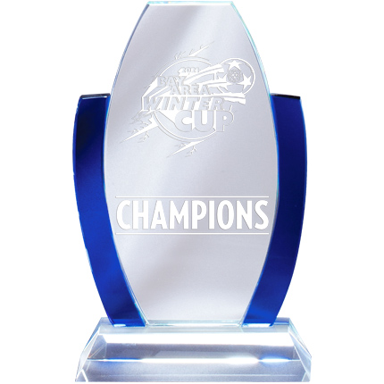 Blue Crystal Champions Award