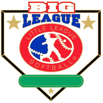 Big League Softball Pin Series - All Purpose