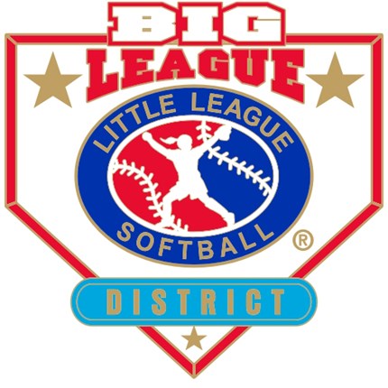 Big League Softball Pin Series - District