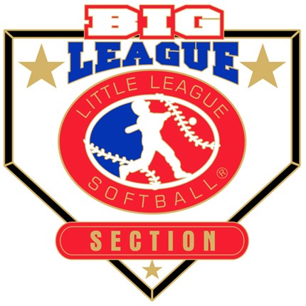 Big League Softball Pin Series - Section