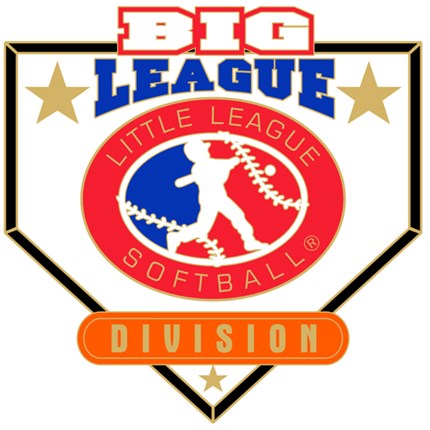 Big League Softball Pin Series - Division