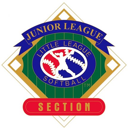 Junior League Softball Pin Series - Section