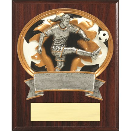 Resin Plaque Series - Soccer