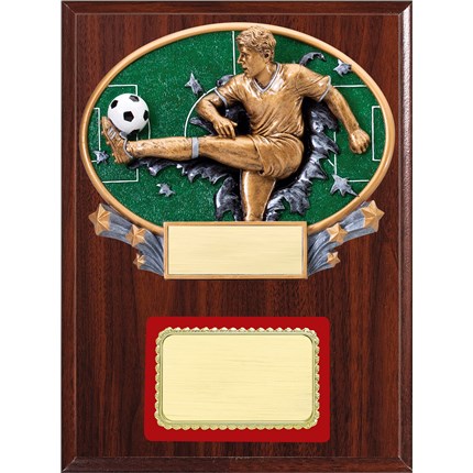 Resin Plaque Series - Soccer, M