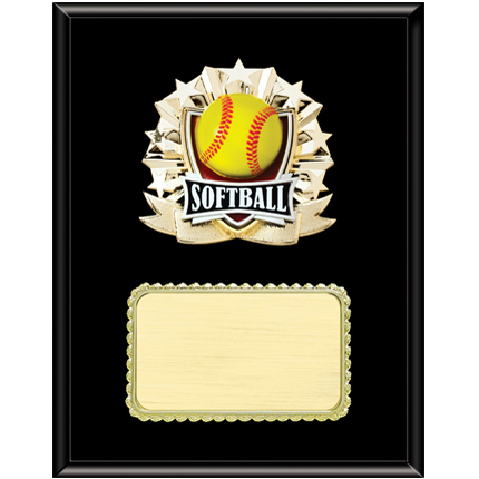 Resin Plaque Series - softball  7
