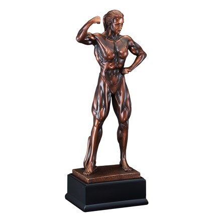 GALLERY SCULPTURE SERIES - BODY BUILDER, F