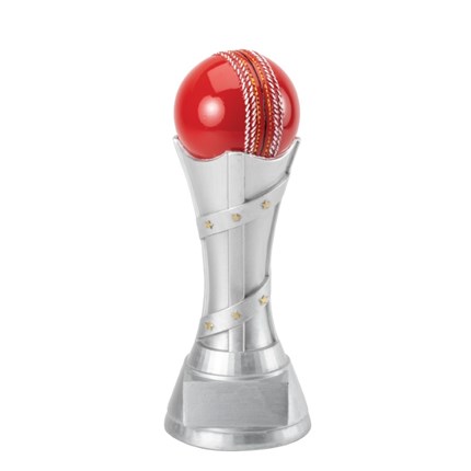 CRICKET RESIN BLAST SERIES