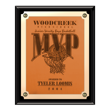 VL300 SERIES - SOLID BLACK FINISH PLAQUE