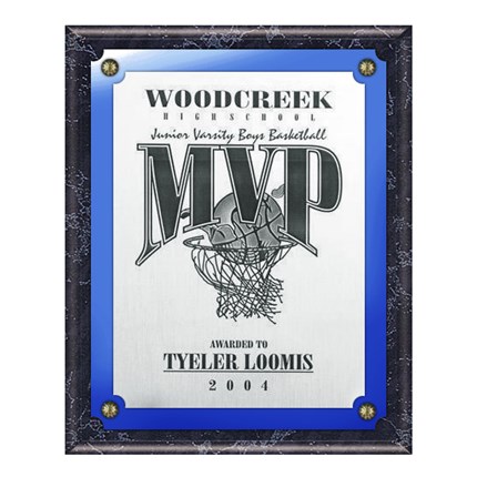 VL400 SERIES - BLACK MARBLE FINISH PLAQUE