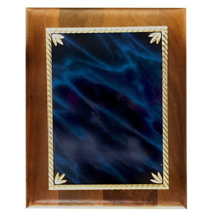 Plaque Award - Laser Series - Blue Marble