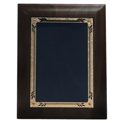 Plaque Award - Laser - Blue Marble - Beveled