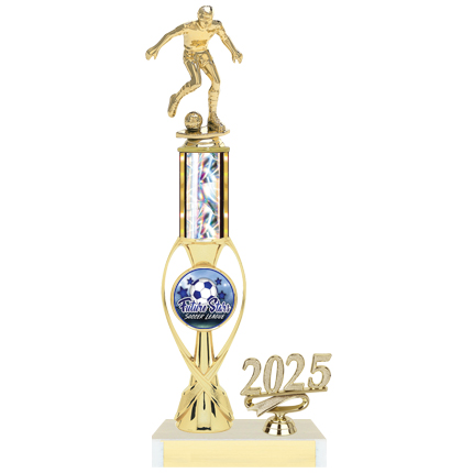 Wilson Series AYSO Trophy with Insert and Year