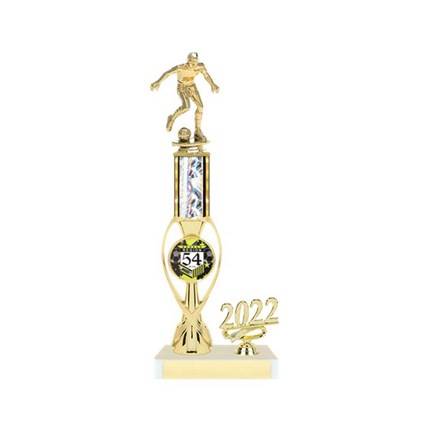Wilson Series AYSO Trophy with Insert and Year