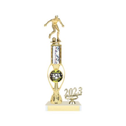 Wilson Series AYSO Trophy with Insert and Year