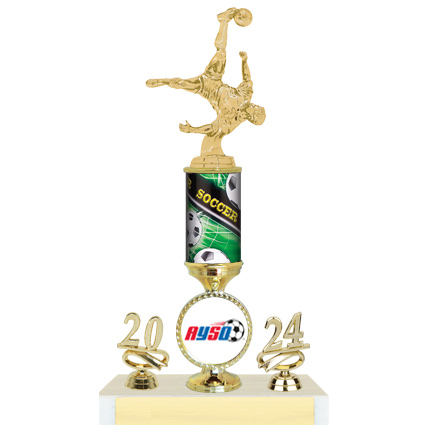 Wilson Series - AYSO Trophy with Full Year and Insert