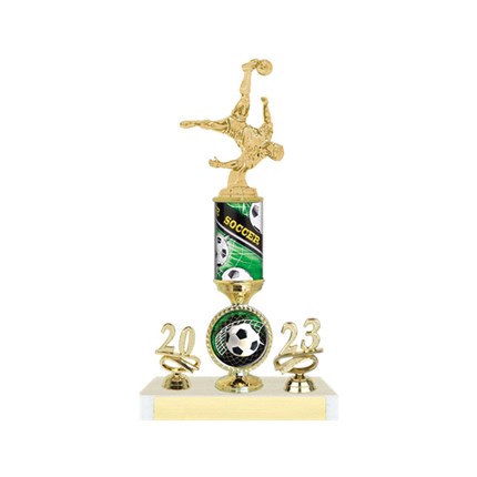 Wilson Series - AYSO Trophy with Full Year and Insert