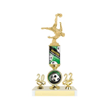 Wilson Series - AYSO Trophy with Full Year and Insert