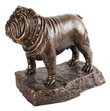 Bulldog_Award-2
