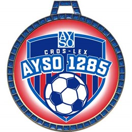 042A-001-AYSO