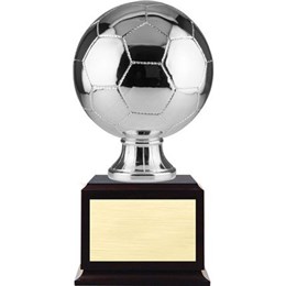 AwardonBaseSeriesSoccerSilver-min
